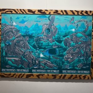 Dave Matthews Rivera Maya mexico 2024 frame