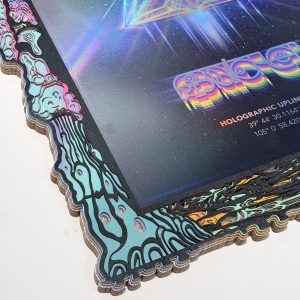 Meow wolf inspired frame