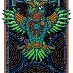 Electric Forrest 2012 custom frame